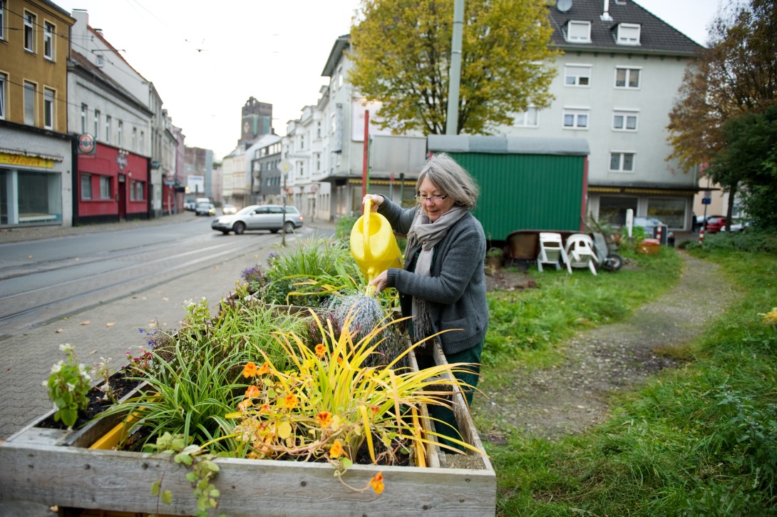 Pflanzbeete in Gelsenkirchen HW. © Ministerium für Heimat, Kommunales, Bau und Digitalisierung des Landes Nordrhein-Westfalen