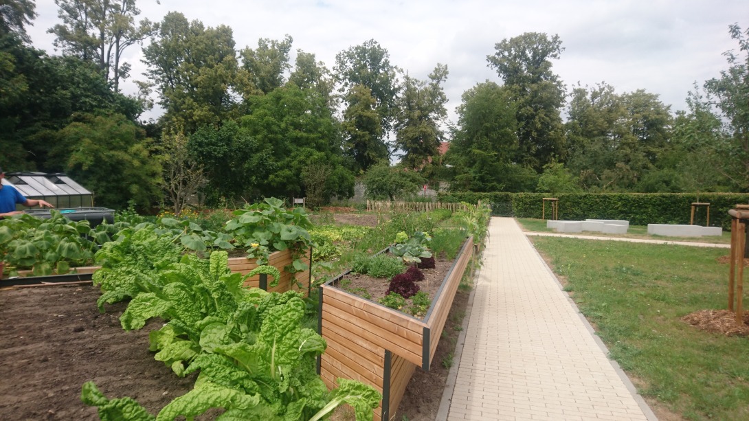 Urban-Gardening-Anlage in Soest. © Ministerium für Heimat, Kommunales, Bau und Digitalisierung des Landes Nordrhein-Westfalen.